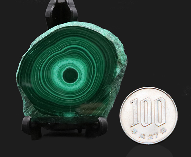 まるで孔雀の羽の模様のよう!高品位のコンゴ産のマラカイト(Malachite・孔雀石)、職人の手による研磨!(その10)