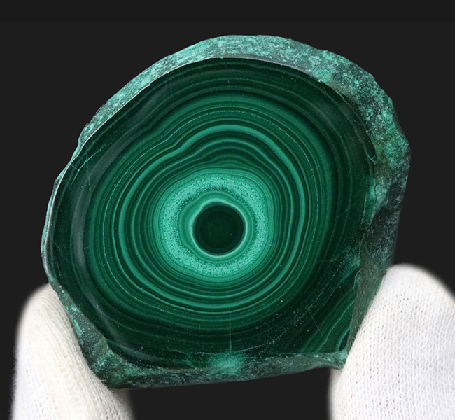 まるで孔雀の羽の模様のよう!高品位のコンゴ産のマラカイト(Malachite・孔雀石)、職人の手による研磨!(その3)