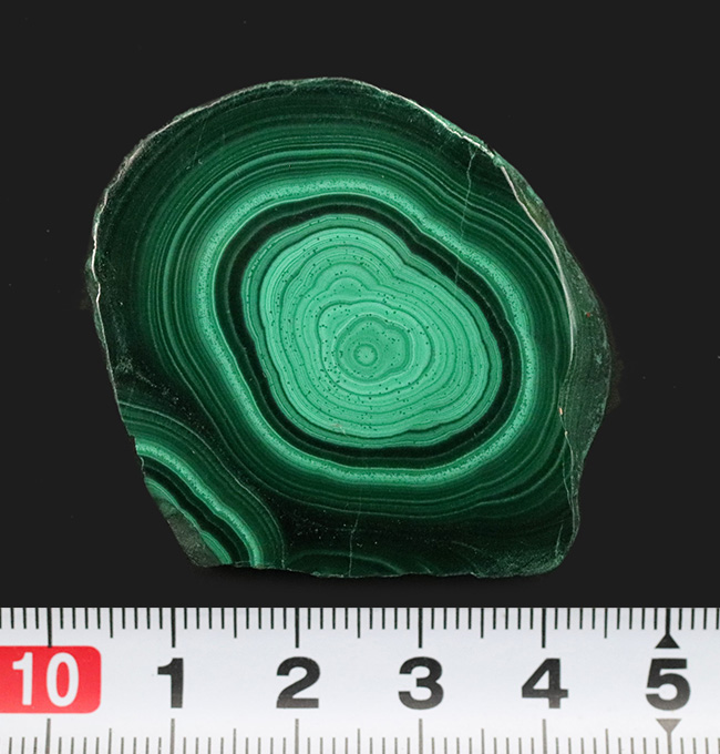 まるで孔雀の羽の模様のよう!高品位のコンゴ産のマラカイト(Malachite・孔雀石)、職人の手による研磨!(その9)