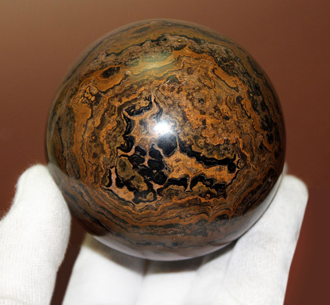 つるつるで超ビッグ!野球ボールサイズのストロマトライト。重さにして580グラム。(Stromatolite)(その3)