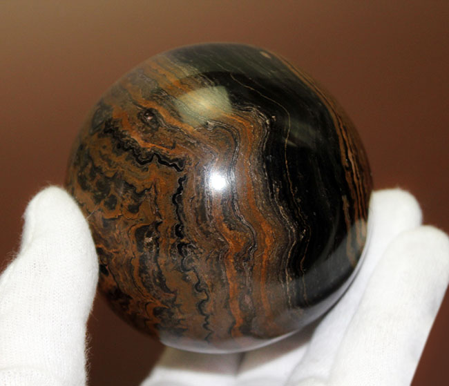 つるつるで超ビッグ!野球ボールサイズのストロマトライト。重さにして580グラム。(Stromatolite)(その4)