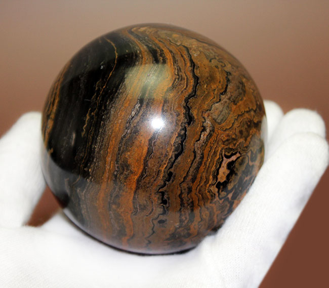 つるつるで超ビッグ!野球ボールサイズのストロマトライト。重さにして580グラム。(Stromatolite)(その7)