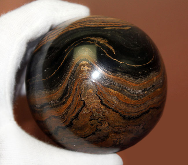 つるつるで超ビッグ!野球ボールサイズのストロマトライト。重さにして580グラム。(Stromatolite)(その8)