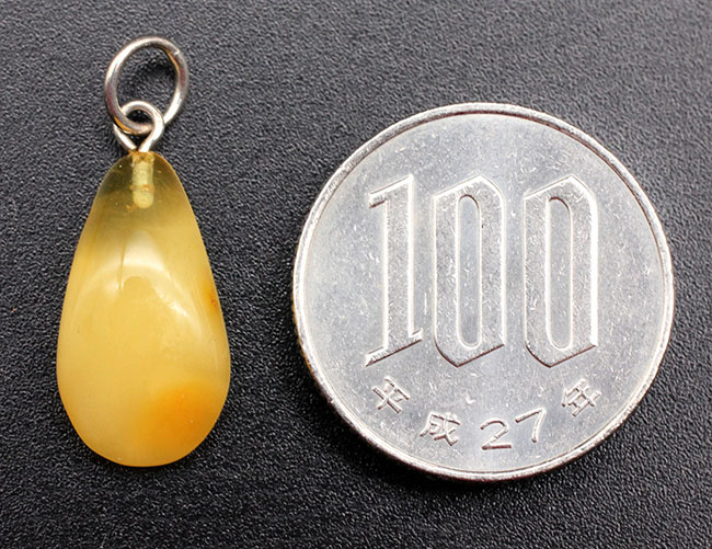 バルト海産琥珀のペンダントトップ(Amber)。ハニーバターのようなカラーが柔らかい印象。(その5)