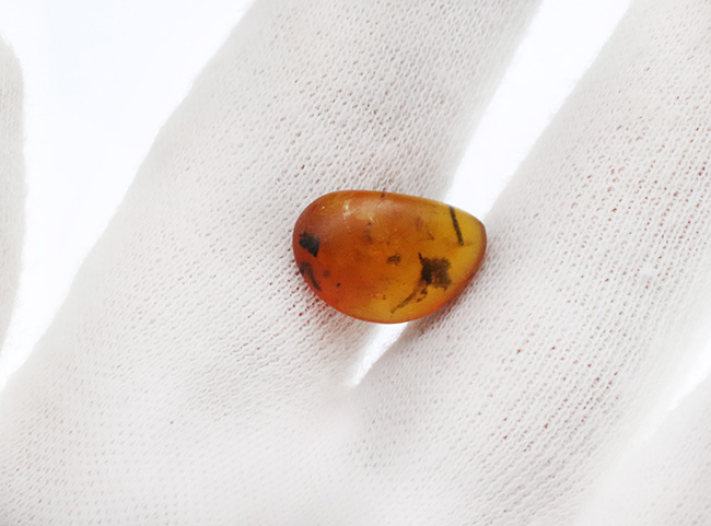 植物片多数内包!世界的産地の一つ、ドミニカから発見された、約3000万年前の琥珀(Amber)(その3)