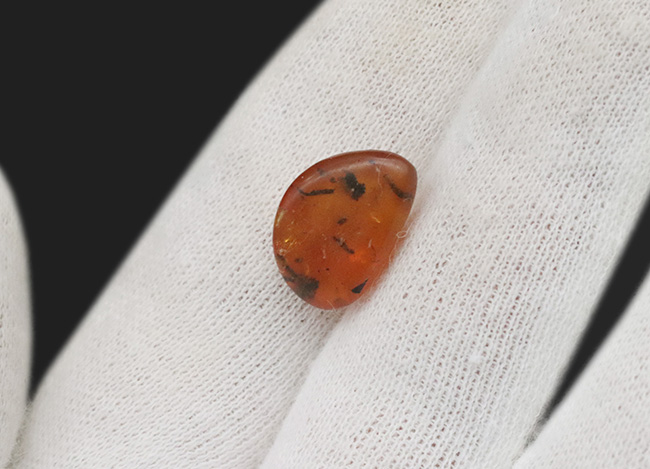 植物片多数内包!世界的産地の一つ、ドミニカから発見された、約3000万年前の琥珀(Amber)(その7)