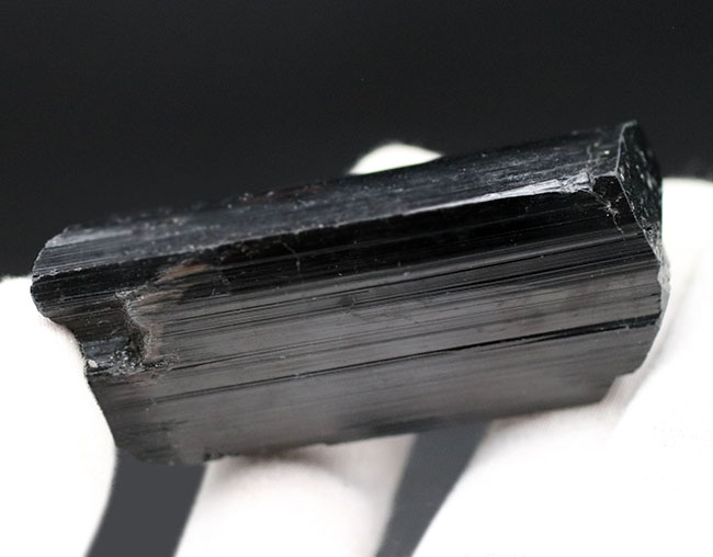 見事な柱状結晶を示すブラックトルマリン（Black Tourmalin）の原石