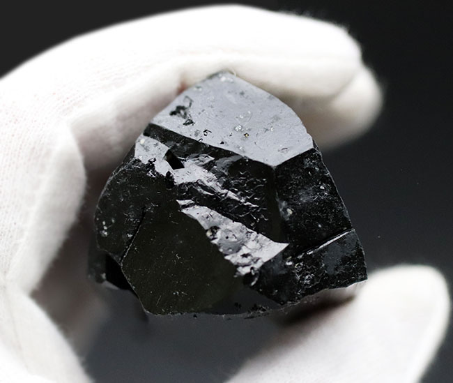 見事な柱状結晶を示すブラックトルマリン（Black Tourmalin）の原石。鉄電気石 鉱物 販売