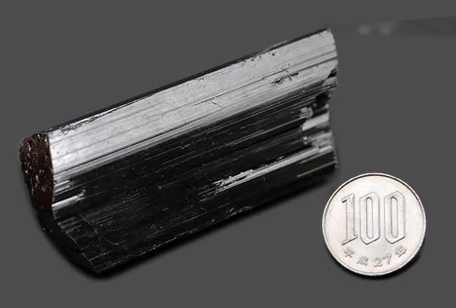見事な柱状結晶を示すブラックトルマリン（Black Tourmalin）の原石。鉄電気石（その7）
