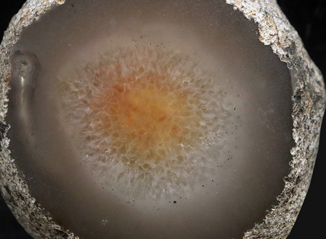 大型！贅沢なカッティングにご注目！切りかけのメロンのような味わい、ブラジル産の縞メノウ（Agate）（その3）