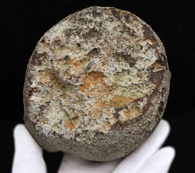 大型！贅沢なカッティングにご注目！切りかけのメロンのような味わい、ブラジル産の縞メノウ（Agate）（その5）