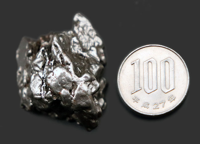 最も有名な鉄隕石の一つ、カンポ・デル・シエロ。９２％以上が鉄、残りはニッケル等で構成された１００％金属からなる隕石（その10）
