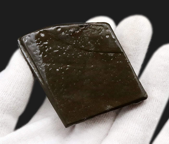ザ・ドラゴンスキン!グラデーションが美しい、宝石、アンモライト(Ammolite)のピース(その6)