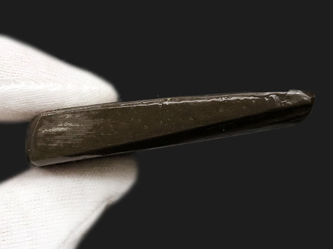 ザ・ドラゴンスキン!グラデーションが美しい、宝石、アンモライト(Ammolite)のピース(その7)