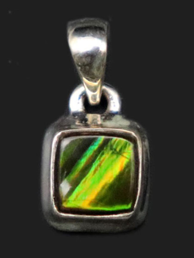 夏にかけてぴったり!明るい緑!数少ない生物起源の宝石の一つ、アンモライト(Ammolite)を使ったペンダントトップ(シルバーチェーン、革紐、高級ジュエリケース付き)(その1)