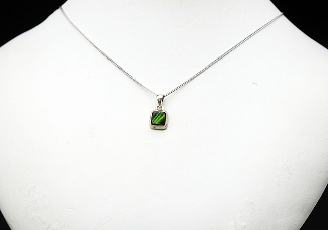 夏にかけてぴったり！明るい緑！数少ない生物起源の宝石の一つ、アンモライト（Ammolite）を使ったペンダントトップ（シルバーチェーン、革紐、高級ジュエリケース付き）（その2）