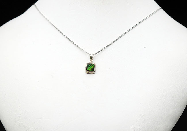 夏にかけてぴったり!明るい緑!数少ない生物起源の宝石の一つ、アンモライト(Ammolite)を使ったペンダントトップ(シルバーチェーン、革紐、高級ジュエリケース付き)(その2)