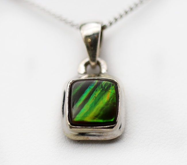 夏にかけてぴったり！明るい緑！数少ない生物起源の宝石の一つ、アンモライト（Ammolite）を使ったペンダントトップ（シルバーチェーン、革紐、高級ジュエリケース付き）（その3）