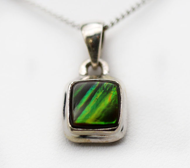 夏にかけてぴったり!明るい緑!数少ない生物起源の宝石の一つ、アンモライト(Ammolite)を使ったペンダントトップ(シルバーチェーン、革紐、高級ジュエリケース付き)(その3)