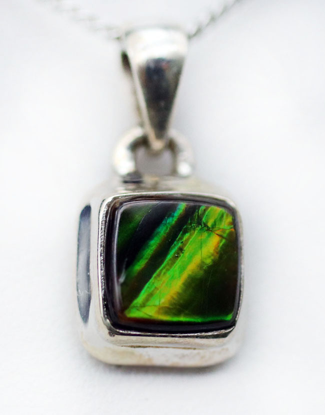 夏にかけてぴったり！明るい緑！数少ない生物起源の宝石の一つ、アンモライト（Ammolite）を使ったペンダントトップ（シルバーチェーン、革紐、高級ジュエリケース付き）（その4）