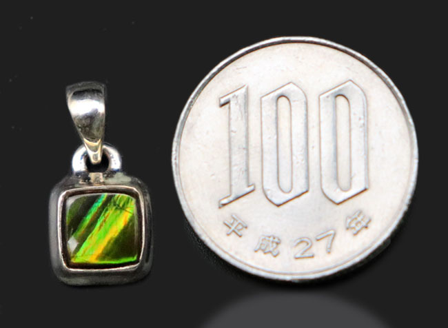 夏にかけてぴったり!明るい緑!数少ない生物起源の宝石の一つ、アンモライト(Ammolite)を使ったペンダントトップ(シルバーチェーン、革紐、高級ジュエリケース付き)(その8)