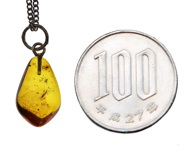 「太陽の化身」およそ4000万年前の虫を内包した、バルト海産の琥珀を使ったペンダントトップ(シルバーチェーン、高級ジュエリーケース付き)(その7)