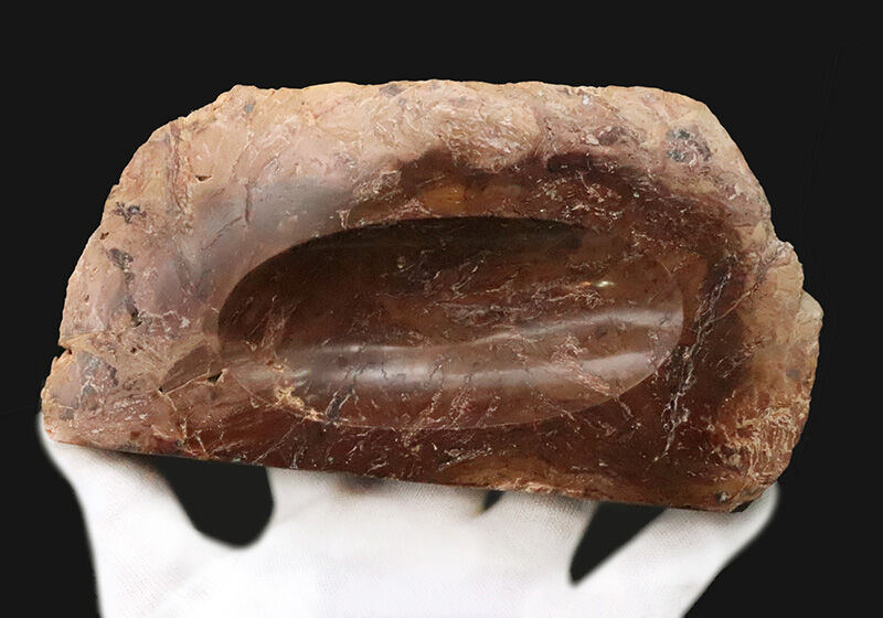 化石コレクターに贈る…2億数千万年の時を経た古代樹木の器！ブラジル産珪化木（Petrified wood）の小物入れ（その2）