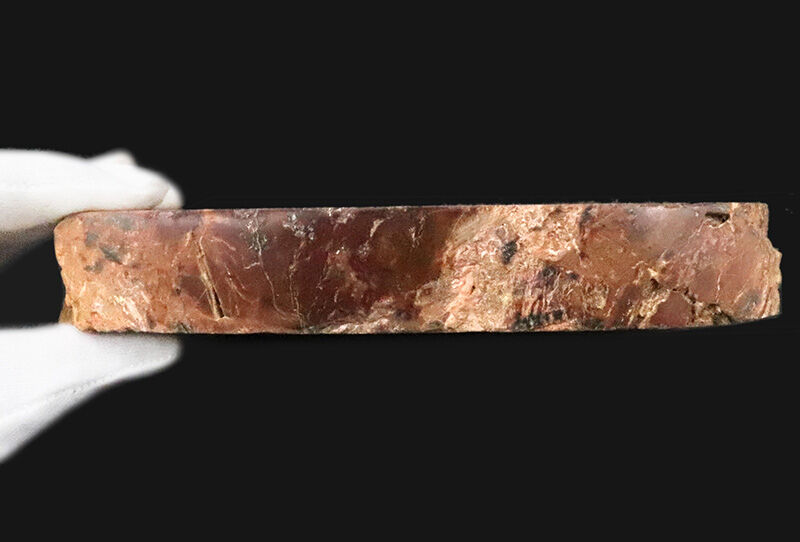 化石コレクターに贈る…2億数千万年の時を経た古代樹木の器！ブラジル産珪化木（Petrified wood）の小物入れ（その4）