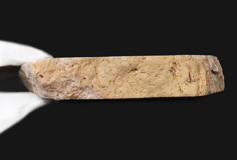 化石コレクターに贈る…2億数千万年の時を経た古代樹木の器！ブラジル産珪化木（Petrified wood）の小物入れ（その5）