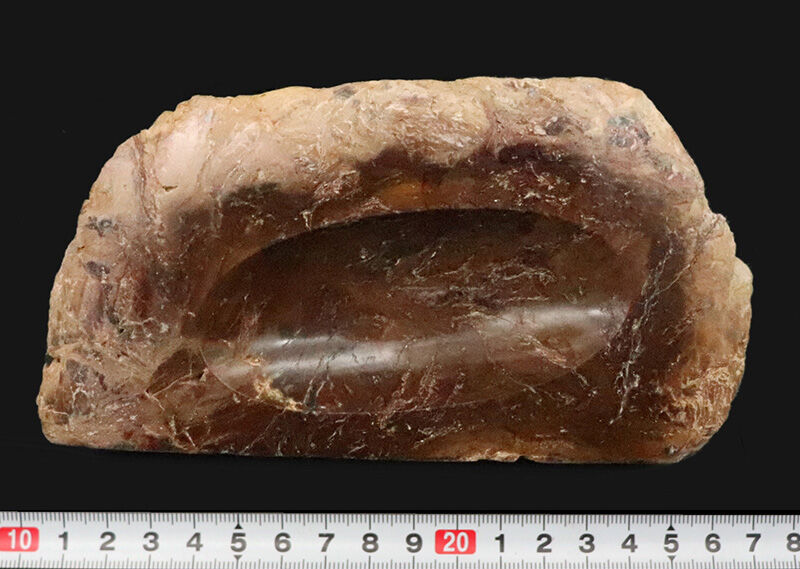 化石コレクターに贈る…2億数千万年の時を経た古代樹木の器！ブラジル産珪化木（Petrified wood）の小物入れ（その6）