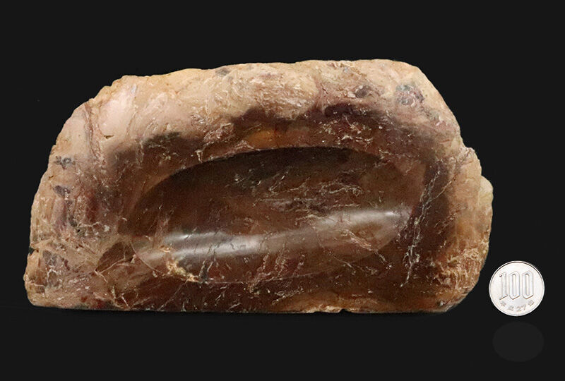 化石コレクターに贈る…2億数千万年の時を経た古代樹木の器！ブラジル産珪化木（Petrified wood）の小物入れ（その7）