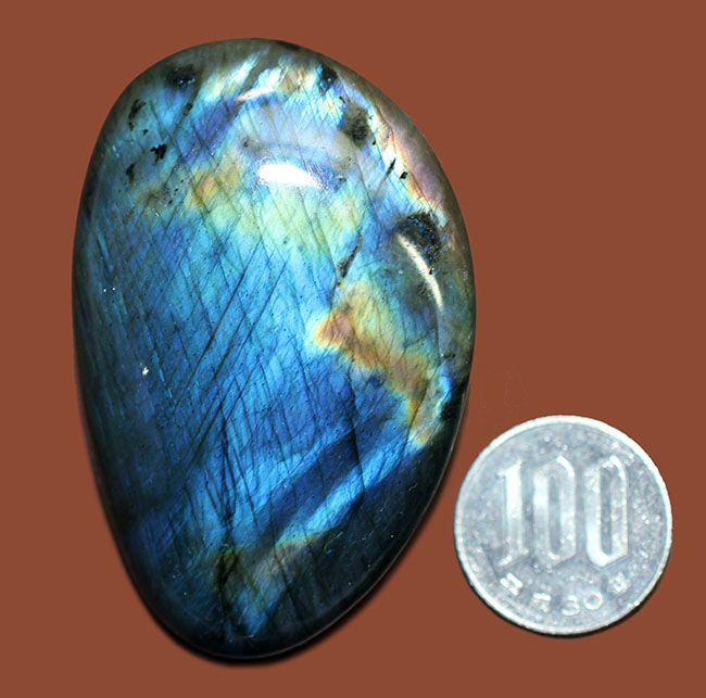 猛烈に濃いブルーを呈する、上質なラブラドライト（Labradorite）のカボション（その10）