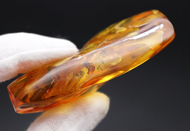 めったに見ないサイズ!20グラムを超える特大のバルティックアンバー(Amber)。極めて透明度高し!(その10)