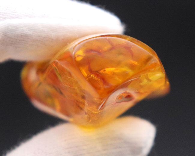 めったに見ないサイズ!20グラムを超える特大のバルティックアンバー(Amber)。極めて透明度高し!(その11)