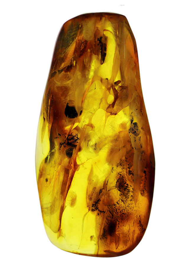 めったに見ないサイズ!20グラムを超える特大のバルティックアンバー(Amber)。極めて透明度高し!(その2)