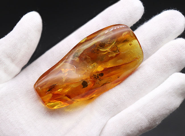 めったに見ないサイズ!20グラムを超える特大のバルティックアンバー(Amber)。極めて透明度高し!(その3)