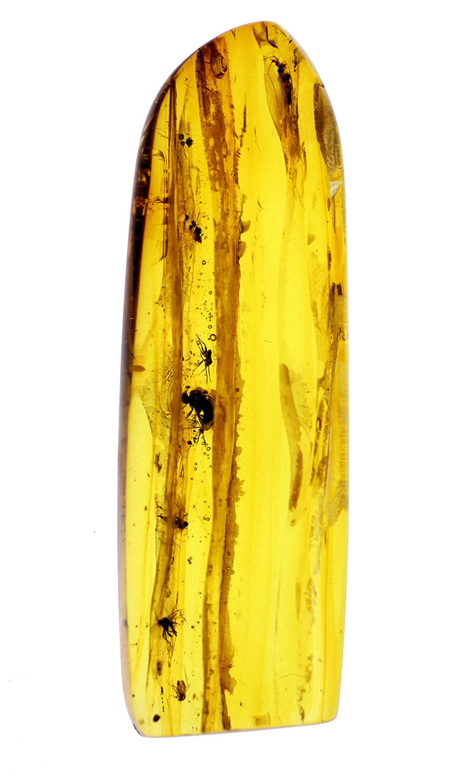 ビッグサイズ!4センチサイズのバルト海産虫入り琥珀(Amber)。クモを含む多数の虫が内包。(その2)