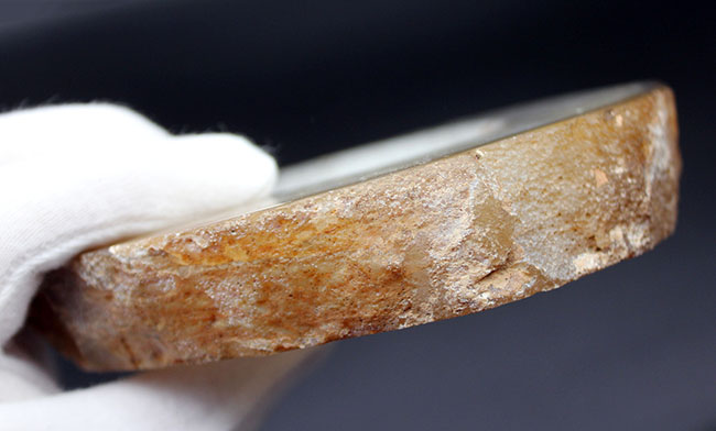 透き通る乳白色のブラジル産メノウ(Agate)(その6)