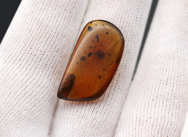 およそ1億年前(恐竜時代)に起源を持つ、シロアリ目の虫を内包した、ミャンマー産琥珀(Amber)(その5)