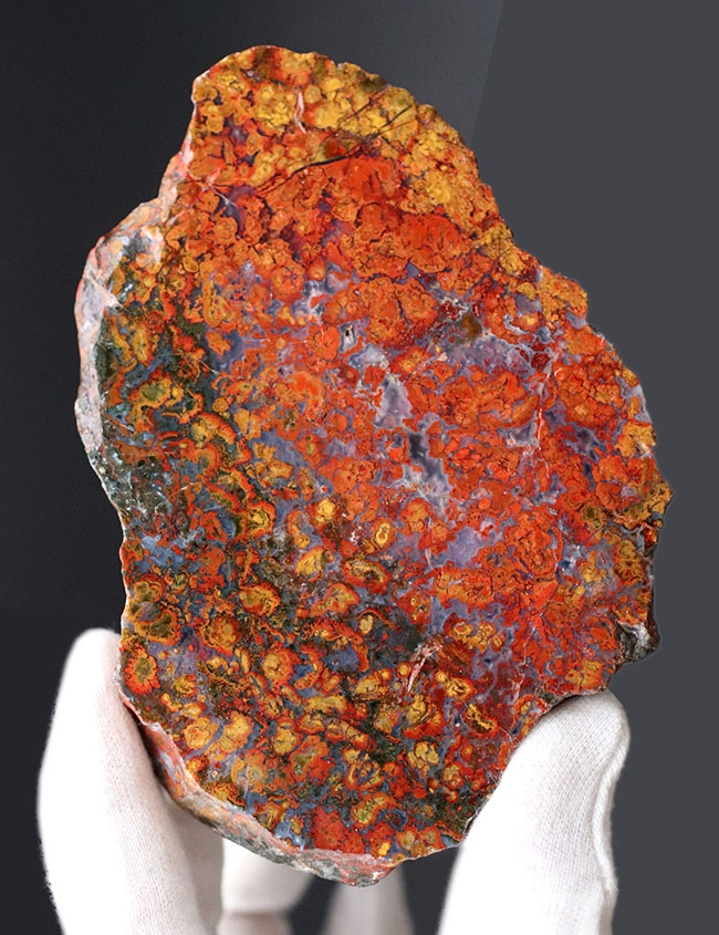 11センチ超の大判!極めて赤い!希少なハンガリー産のストロマトライト含有型の赤メノウ(Agate)(その1)