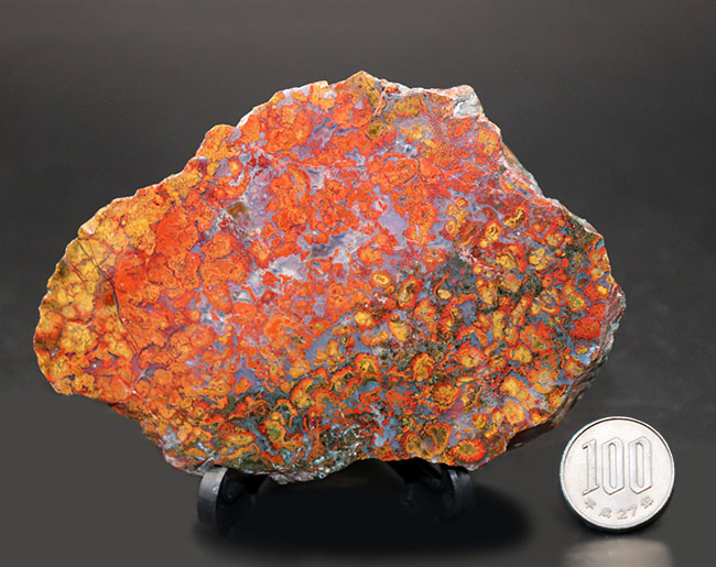 11センチ超の大判!極めて赤い!希少なハンガリー産のストロマトライト含有型の赤メノウ(Agate)(その10)