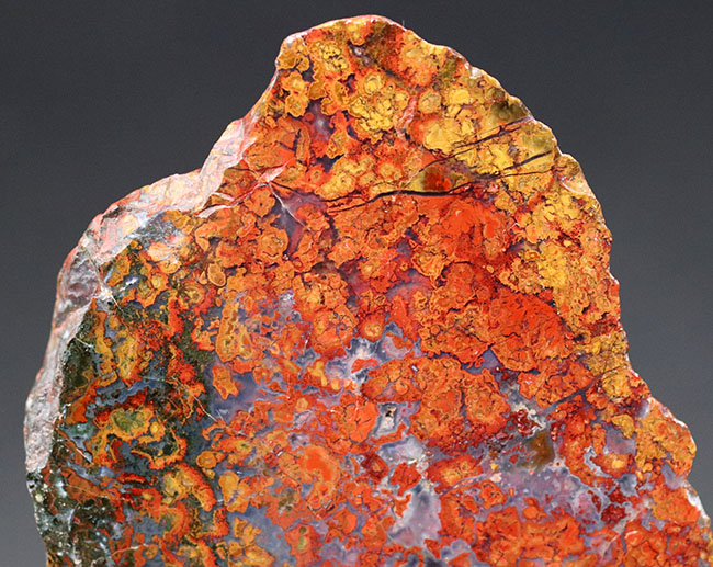 11センチ超の大判!極めて赤い!希少なハンガリー産のストロマトライト含有型の赤メノウ(Agate)(その2)