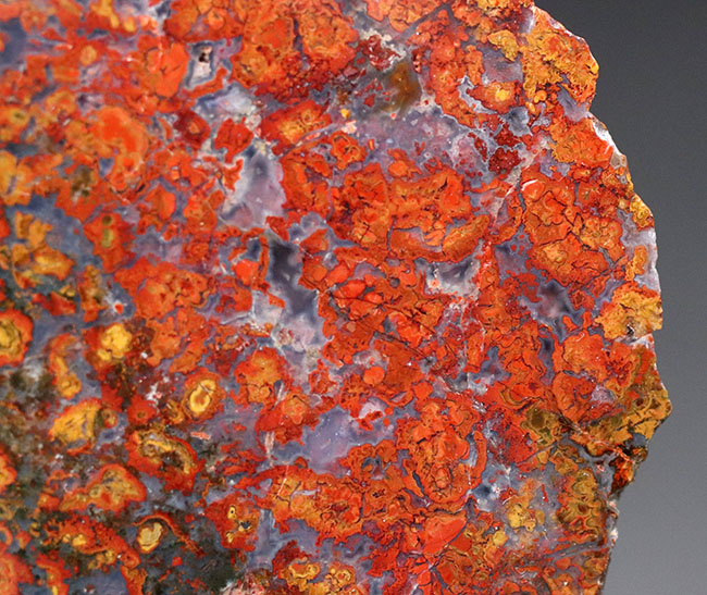 11センチ超の大判!極めて赤い!希少なハンガリー産のストロマトライト含有型の赤メノウ(Agate)(その3)