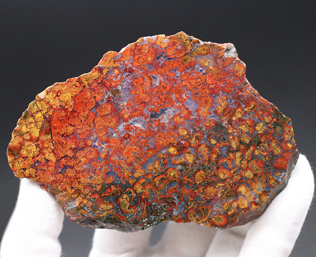 11センチ超の大判!極めて赤い!希少なハンガリー産のストロマトライト含有型の赤メノウ(Agate)(その5)