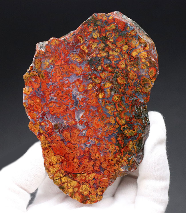 11センチ超の大判!極めて赤い!希少なハンガリー産のストロマトライト含有型の赤メノウ(Agate)(その7)