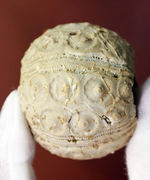 中生代白亜紀のウニ（Sea urchin）の化石。モロッコ産。