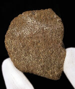 お客様の声　写真