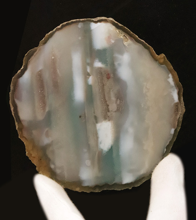 複雑な緑が魅力的……薄くカットされた大判、瑪瑙（メノウ）のスライス標本（その1）