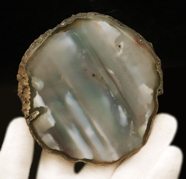 複雑な緑が魅力的……薄くカットされた大判、瑪瑙（メノウ）のスライス標本（その2）