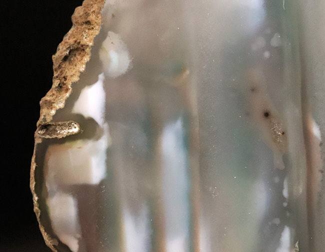 複雑な緑が魅力的……薄くカットされた大判、瑪瑙（メノウ）のスライス標本（その3）